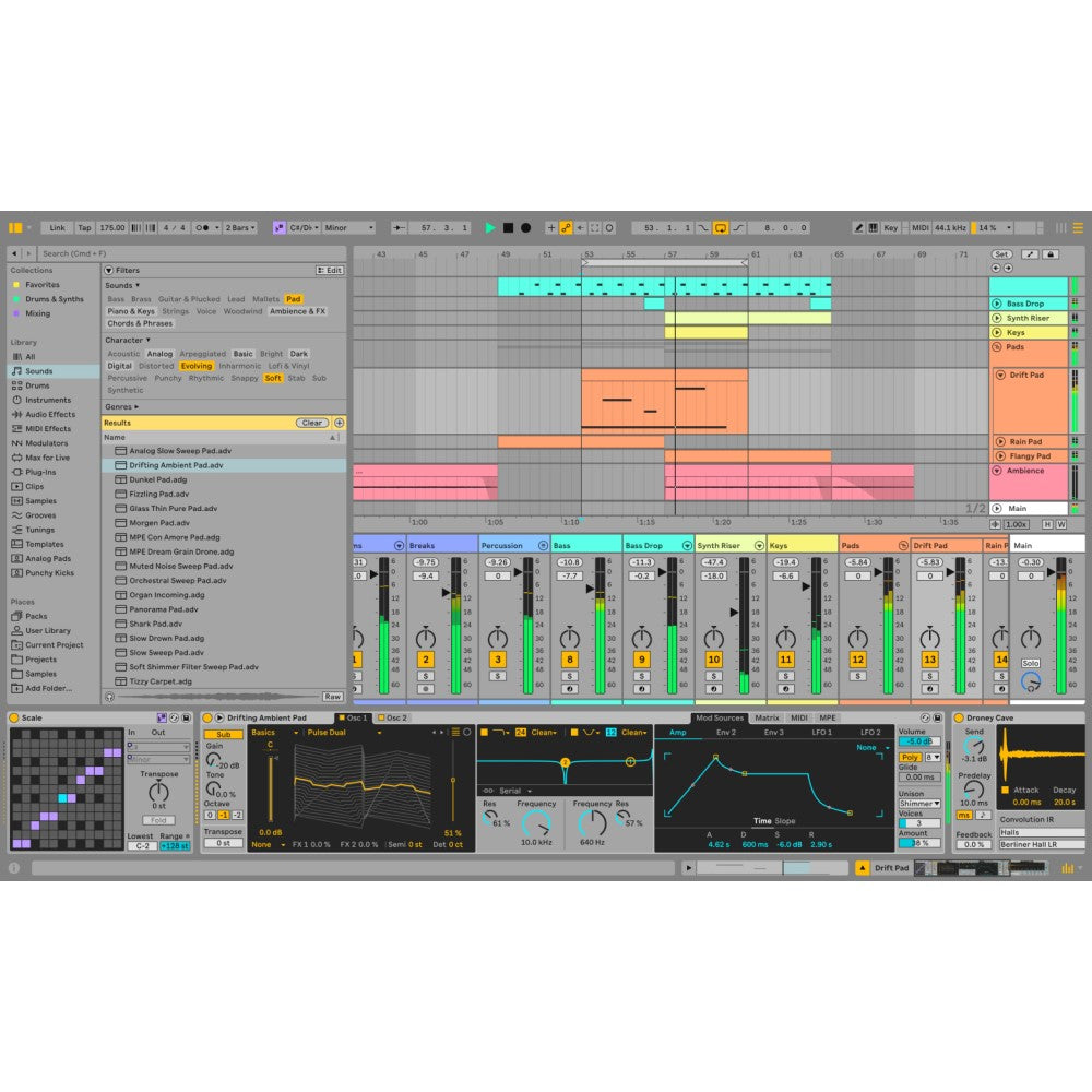 Ableton Live 12 Suite Music Example