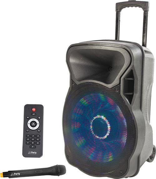 Party Sound and Light 15"LED Portable Speaker System