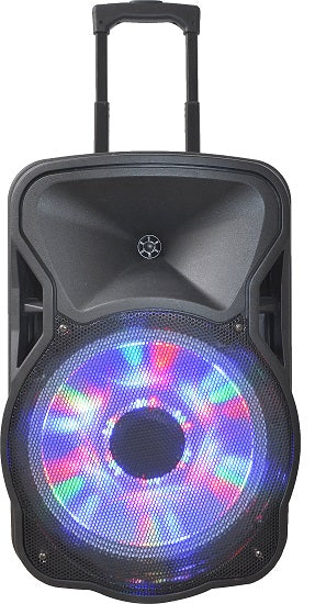 Party Sound and Light 15"LED Portable Speaker System
