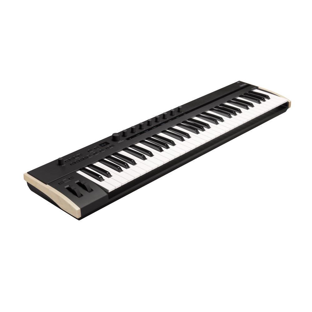Korg Keystage 61 Keyboard Controller Angle