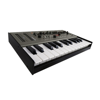 Roland SH-01A Angle 4